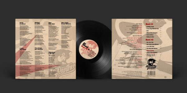 "Reel To Reel" LP Vinilo 12¨ + Contenido Extra / Edición Especial - Imagen 3